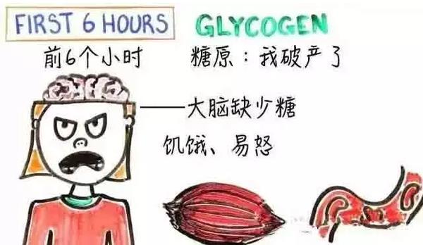 警惕肌少型肥胖，补充HMB少不了
