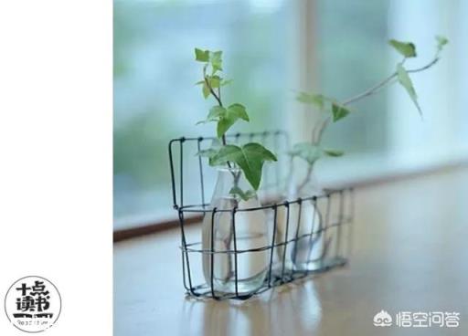 做一个精致女人,要注意哪些细节?