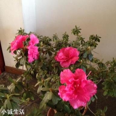 做一个精致女人,要注意哪些细节?