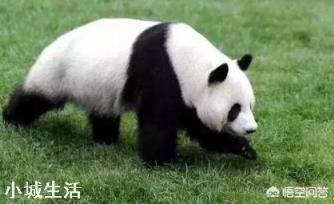 长春、吉林跻身全国暑期旅游十大热门城市，你怎么看？