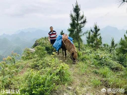 有人说“再穷，也要去旅行”，对此你怎么看？