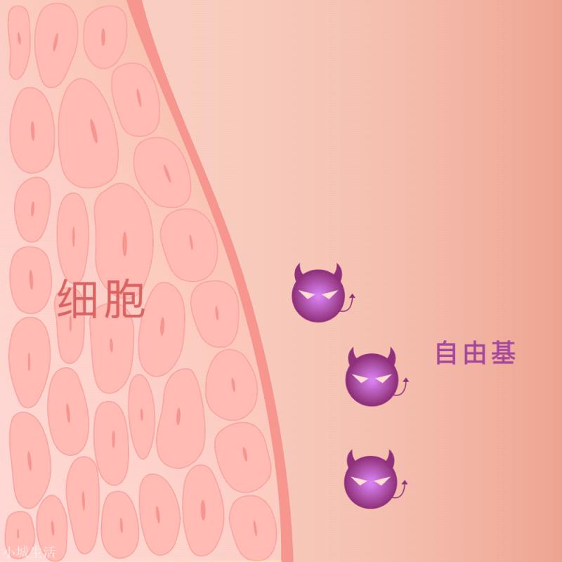 常吃大蒜究竟是伤肝还是养肝？