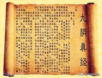 黄药师从未练过《九阴真经》，为何他的武功却从未落下，也不弱于练过的高手？