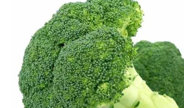 护肤主要靠的就是内外调理 盘点让你越吃越年轻的午餐食物