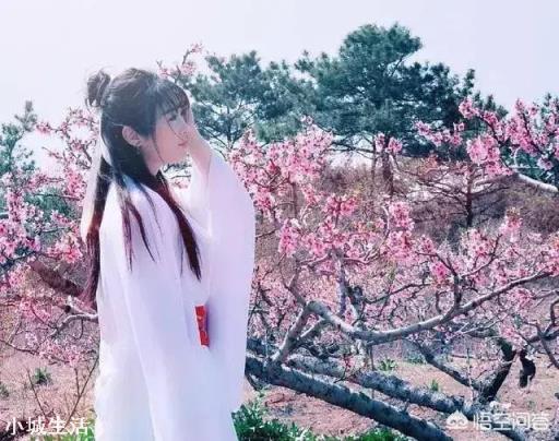 如果中了500万，你想去哪旅行？