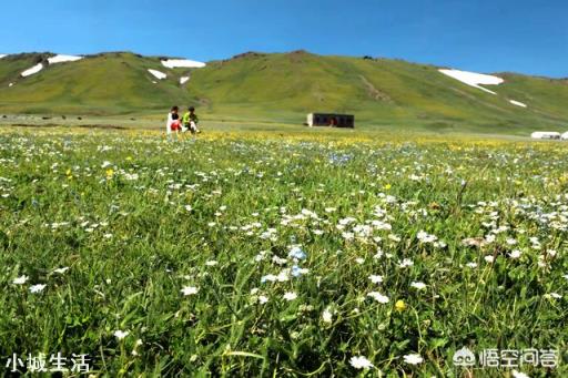 如果中了500万，你想去哪旅行？