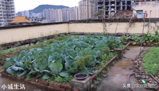 屋顶漏水，防水材料哪种好？