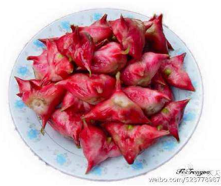 红菱角的功效与作用
