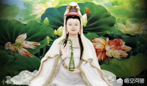 《封神演义》里的十二金仙，在封神背景里，如果让你选，你更想拜谁为师？