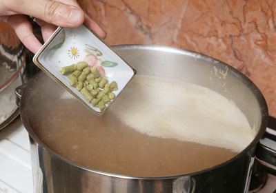 自己动手酿啤酒 精酿啤酒的四种酿造主原料