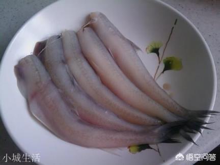 九肚鱼 豆腐鱼怎么做好吃？