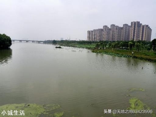 武汉景区免门票，你会去哪个景点玩？