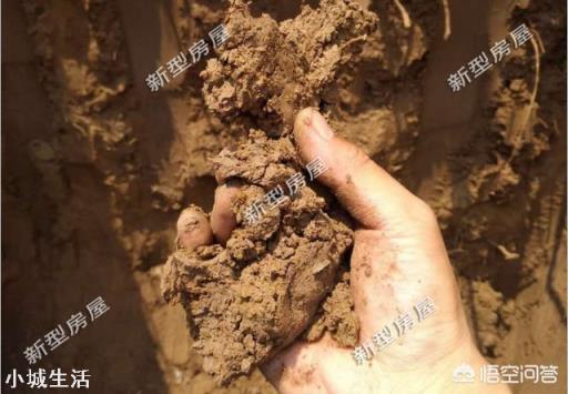 什么東西和水泥在一起會起反作用？