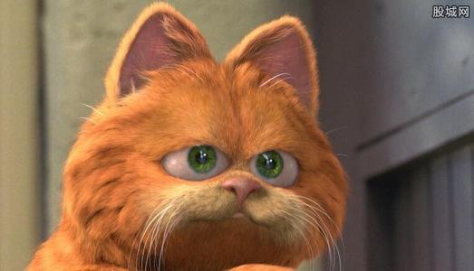 纯橘加菲猫多少钱一只 橘色加菲猫是什么品种