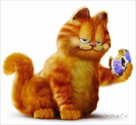 纯橘加菲猫多少钱一只 橘色加菲猫是什么品种
