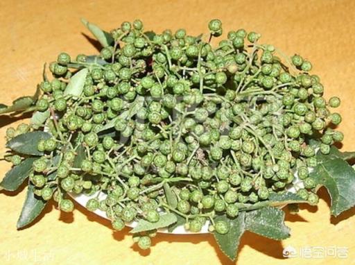 花椒油怎樣制作才又麻又香？
