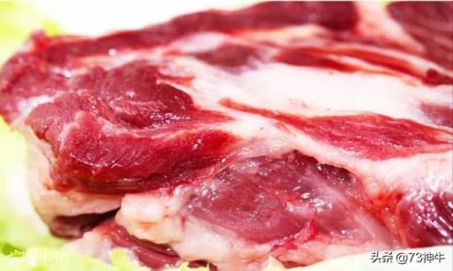 包餃子用豬肉哪個部位更好吃？為什么？