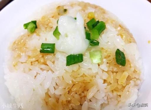 在漢朝之前，古人使用的食用油都是以什么為主？