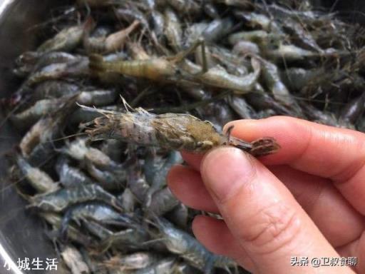 为什么有些人吃虾去虾头，有些人不去虾头？虾头到底能不能吃？