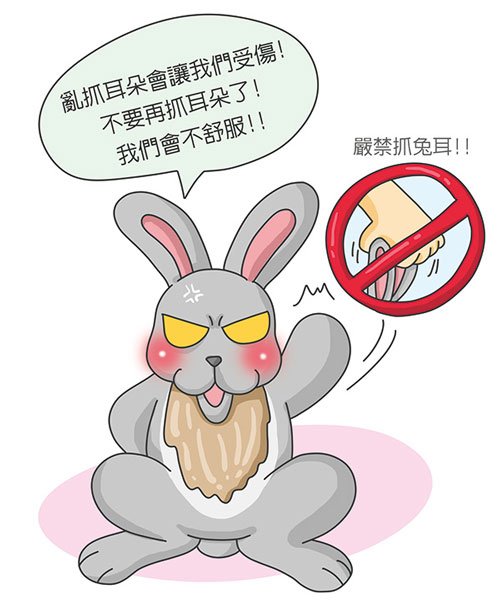 神奇的兔耳朵不要乱抓