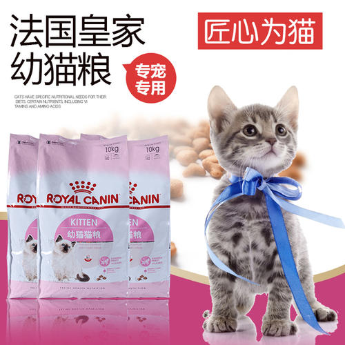奶貓怎么過渡到貓糧 怎么引導幼貓吃東西