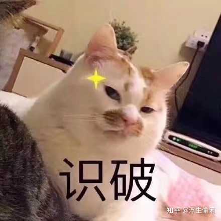 貓聲音沙啞感覺卡住了 貓咪被卡住氣管的癥狀