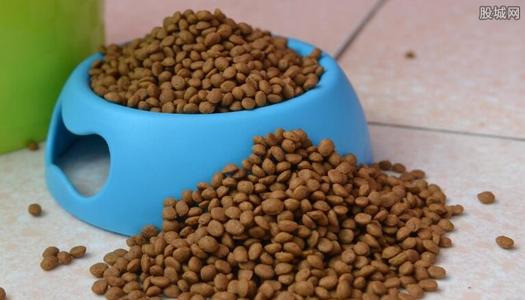 优质猫粮看什么指标 猫粮指标分析
