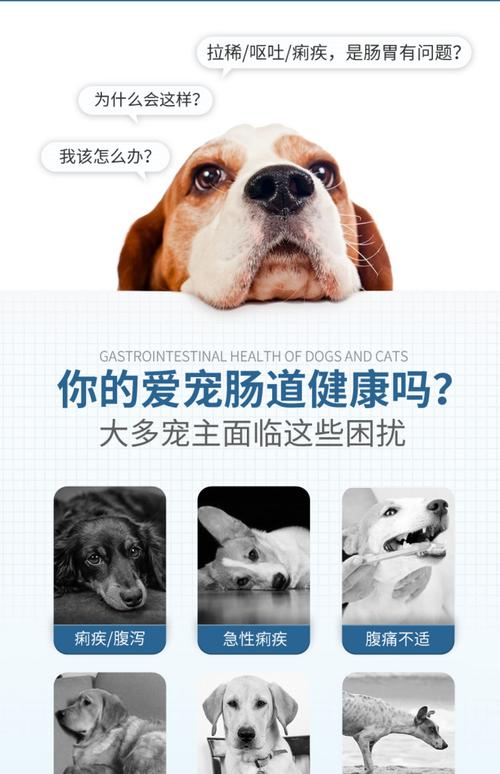 貓打完抗生素有什么后果 貓打抗生素多少錢一針