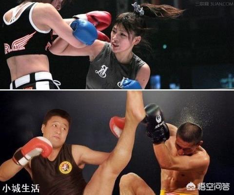 散打怎么练反应?有哪些项目可以训练?