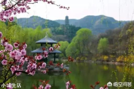 济南适合种植什么花草?