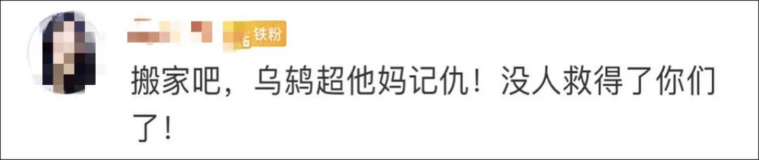我家猫得罪了一只记仇的黑鸟后，每天隔着窗户“被喷屎”