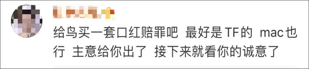 我家猫得罪了一只记仇的黑鸟后，每天隔着窗户“被喷屎”