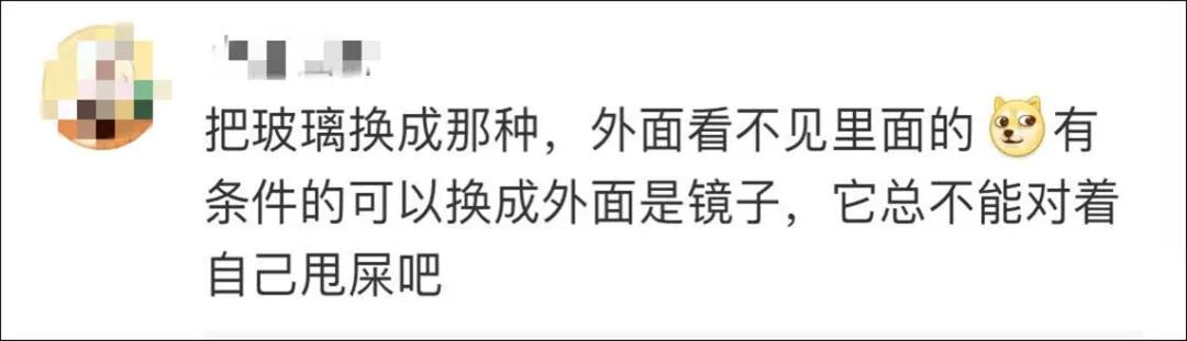 我家猫得罪了一只记仇的黑鸟后，每天隔着窗户“被喷屎”