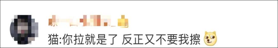 我家猫得罪了一只记仇的黑鸟后，每天隔着窗户“被喷屎”