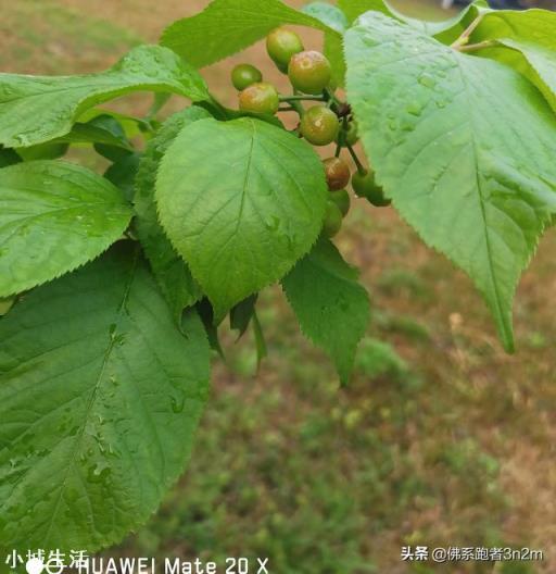 中年人該怎樣鍛煉身體呢？