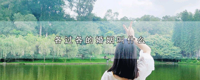 各过各的婚姻叫什么_各过各的婚姻被称为什么婚
