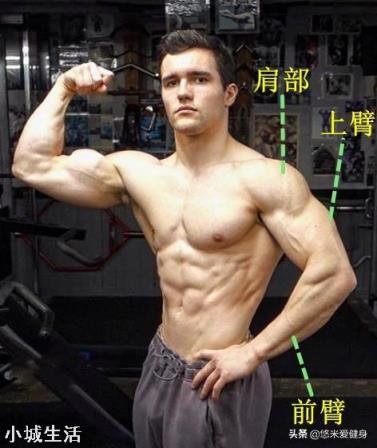 只做俯卧撑不做其他运动,会让身体变得不匀称吗?