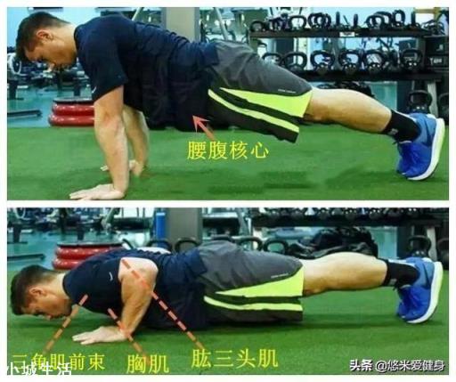 只做俯卧撑不做其他运动,会让身体变得不匀称吗?
