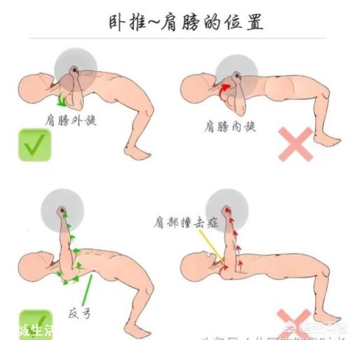 怎么定制健身计划？