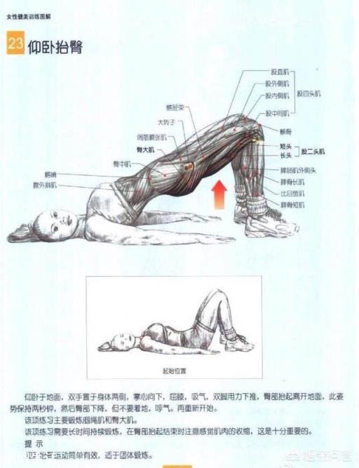 做臀桥时屈膝角度不一样，有什么区别和影响？