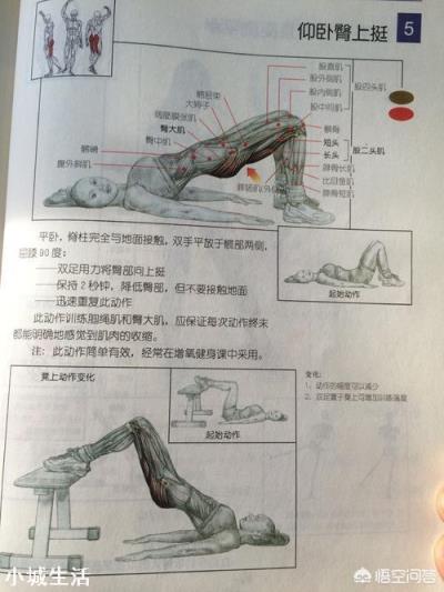 做臀桥时屈膝角度不一样，有什么区别和影响？