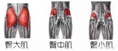 做臀桥时屈膝角度不一样，有什么区别和影响？