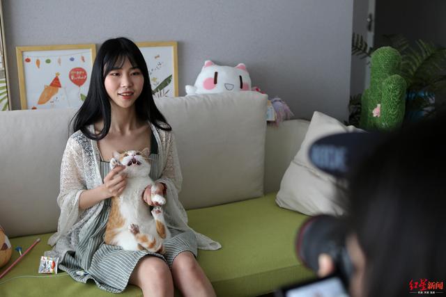 4只网红猫拍猫片年入百万，携铲屎官住进130㎡豪宅