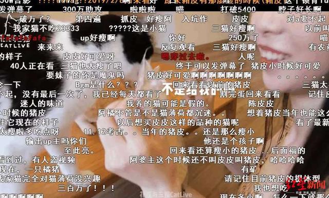 4只网红猫拍猫片年入百万，携铲屎官住进130㎡豪宅