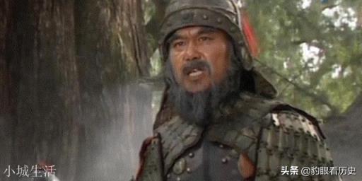 邓艾抄小路偷袭成都,刘禅如果死守,然后姜维从后夹击,蜀国能得救吗?