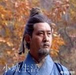 邓艾抄小路偷袭成都,刘禅如果死守,然后姜维从后夹击,蜀国能得救吗?