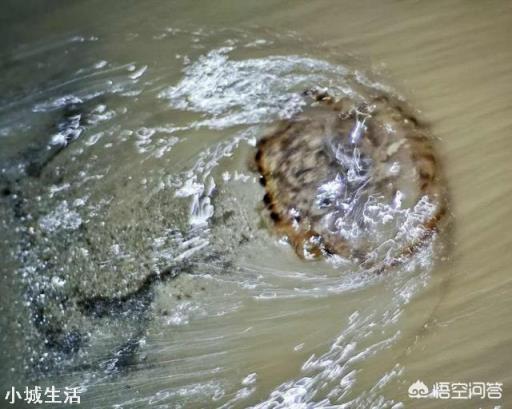 在旅游淡季去北海旅游是种怎样的体验?