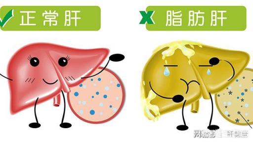 间断40天后再次跑步,对身体健康会有什么影响吗?