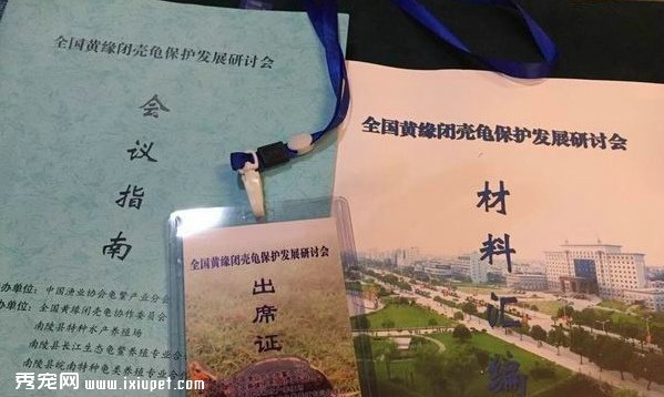 2015黄缘龟苗的开盘价格出来了建议4500元
