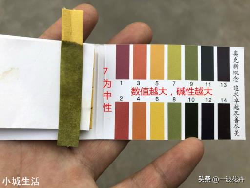 茉莉花多久施一次硫酸亚铁才能有效的保持酸性？